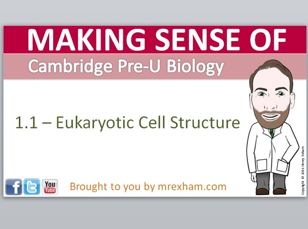 Cambridge Pre-U Biology - 1.1 Eukaryotic Cell Structure Presentation