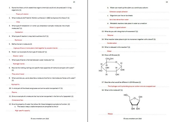 IB Biology Revision Quiz Core 2 - Molecular Biology