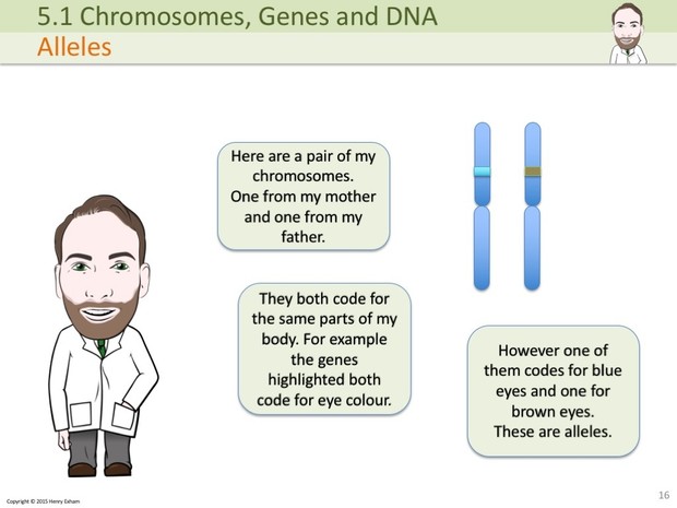 IGCSE Biology - Chromosomes, Genes and DNA Presentation