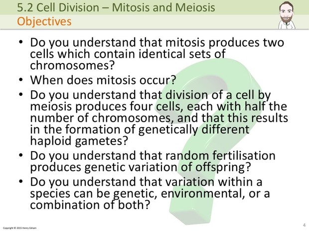 IGCSE Biology - Mitosis and Meiosis Presentation