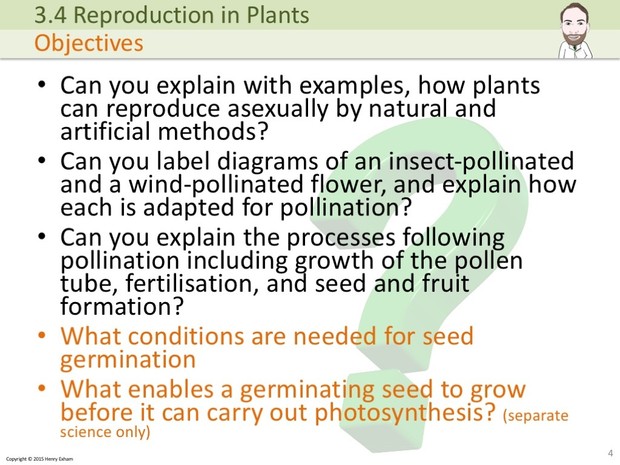 IGCSE Biology - Plant Reproduction Presentation