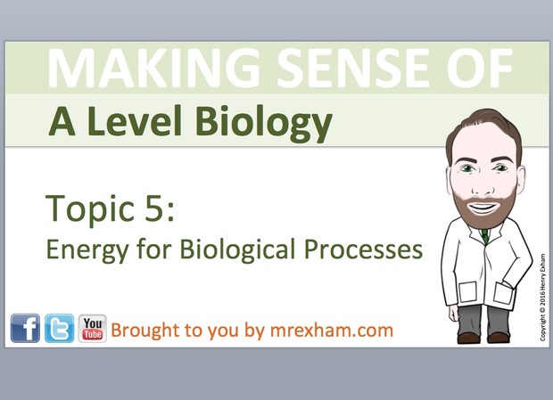 A Level Biology - Energy for Biological Processes Presentation