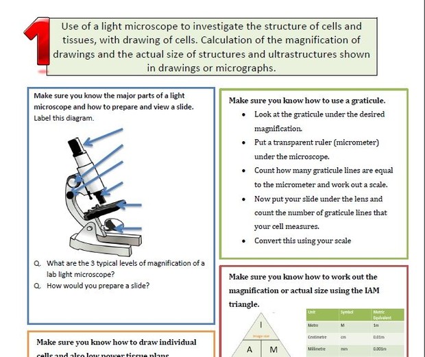 IB Biology 7 Key Practicals Revision Exercise