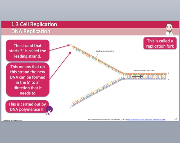 Cambridge Pre-U Biology - 1.3 Cell Replication