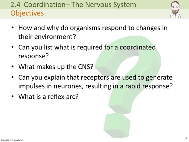 IGCSE Biology - The Nervous System Presentation