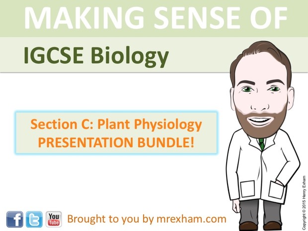 IGCSE Biology - Plant Physiology Presentation Bundle