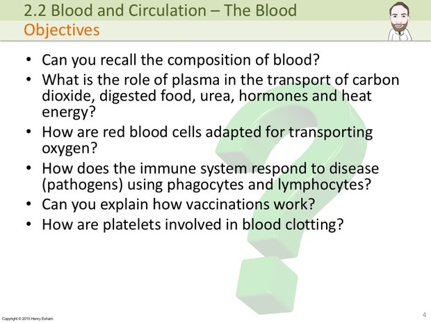 IGCSE Biology - The Blood Presentation