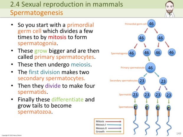 A Level Biology - Cells, Viruses and Reproduction of Living Things Presentation