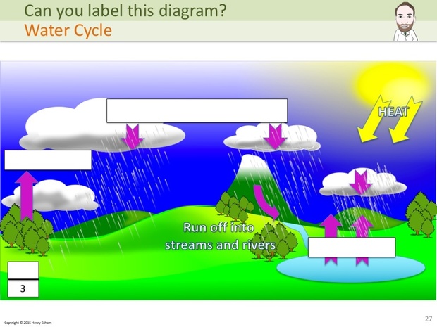 IGCSE Biology - Label The Diagram Revision