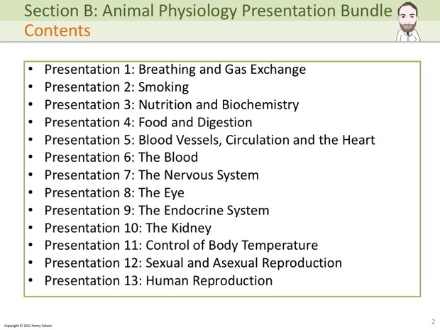 IGCSE Biology - Animal Physiology Presentation Bundle