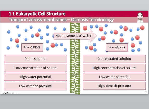 Cambridge Pre-U Biology - 1.1 Eukaryotic Cell Structure Presentation