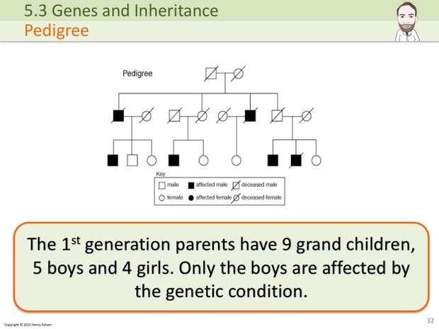 IGCSE Biology - Genes and Inheritance Presentation