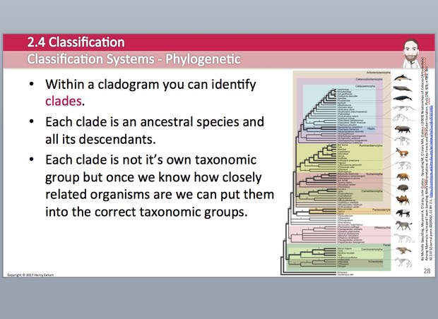 Cambridge Pre-U Biology - 2.4 Classification