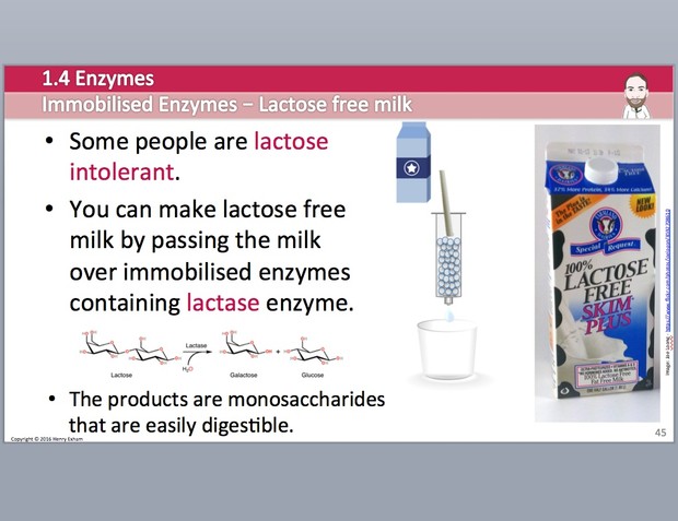 Cambridge Pre-U Biology - 1.4 Enzymes