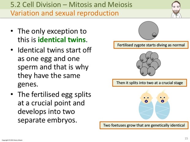 IGCSE Biology - Mitosis and Meiosis Presentation