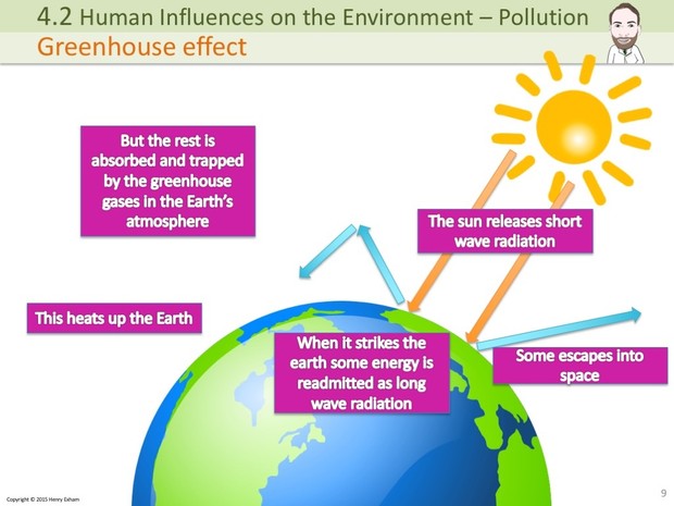 IGCSE Biology - Pollution Presentation
