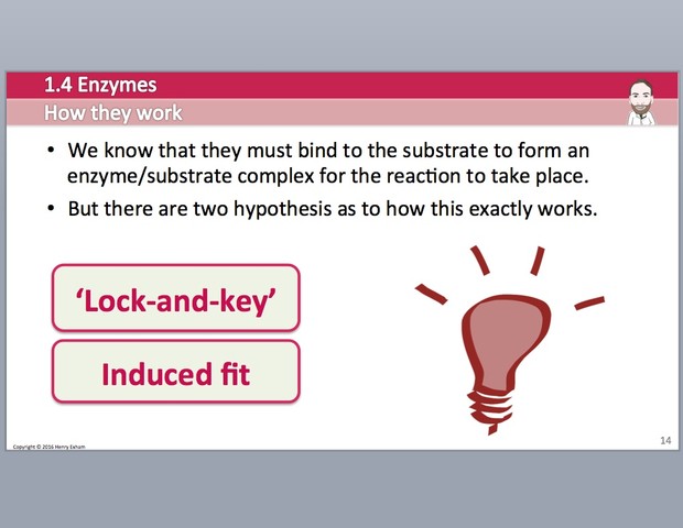 Cambridge Pre-U Biology - 1.4 Enzymes