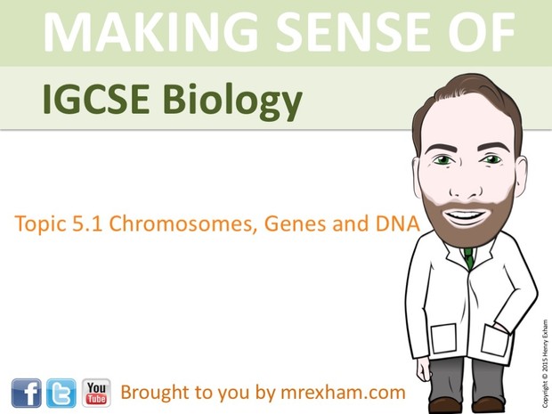 IGCSE Biology - Chromosomes, Genes and DNA Presentation