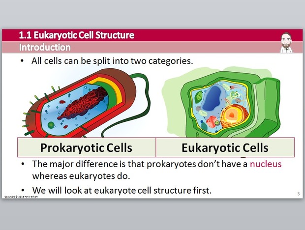 Cambridge Pre-U Biology - 1.1 Eukaryotic Cell Structure Presentation