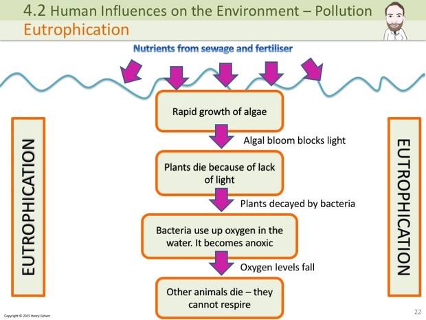 IGCSE Biology - Pollution Presentation