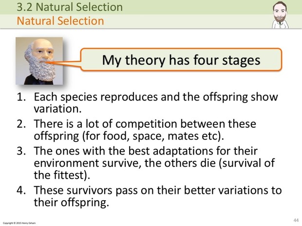 A Level Biology - Classification and Biodiversity Presentation