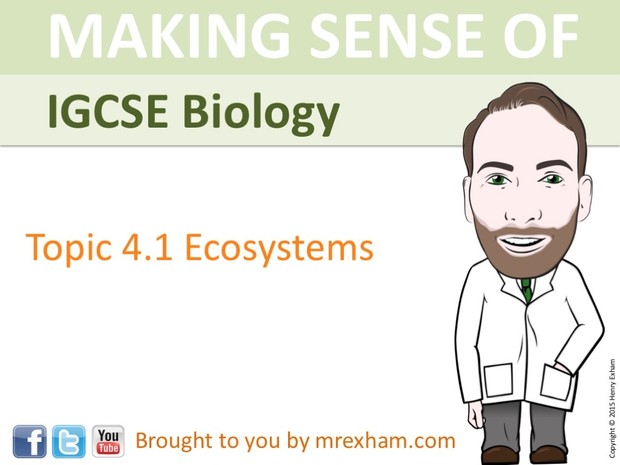 IGCSE Biology - Ecosystems Presentation