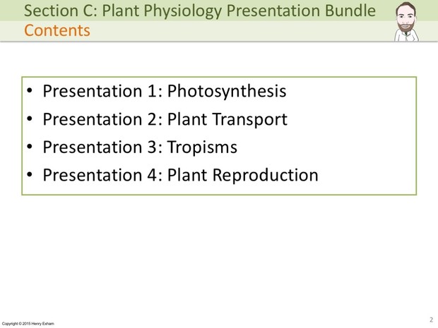 IGCSE Biology - Plant Physiology Presentation Bundle