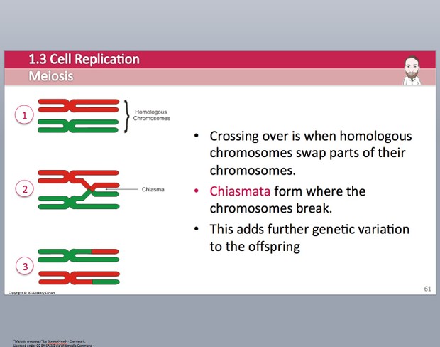 Cambridge Pre-U Biology - 1.3 Cell Replication