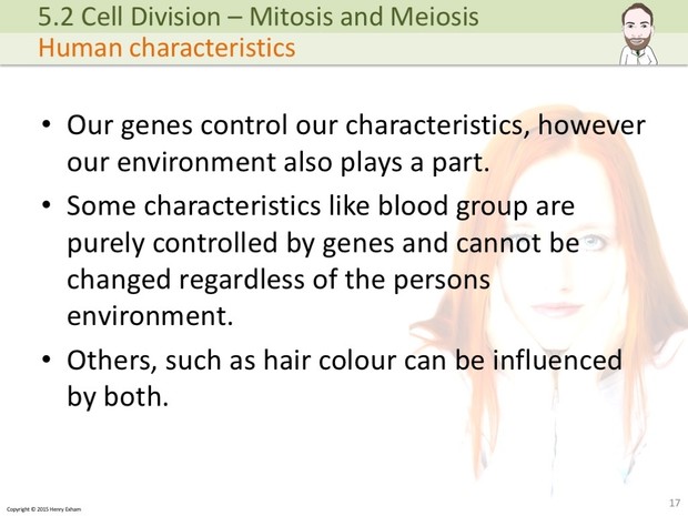 IGCSE Biology - Mitosis and Meiosis Presentation