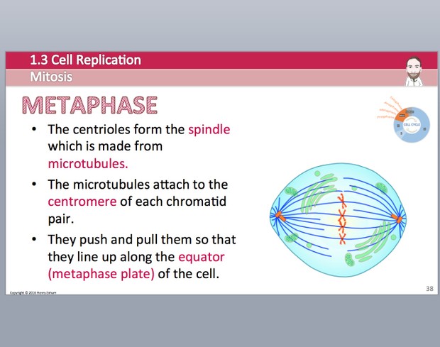 Cambridge Pre-U Biology - 1.3 Cell Replication