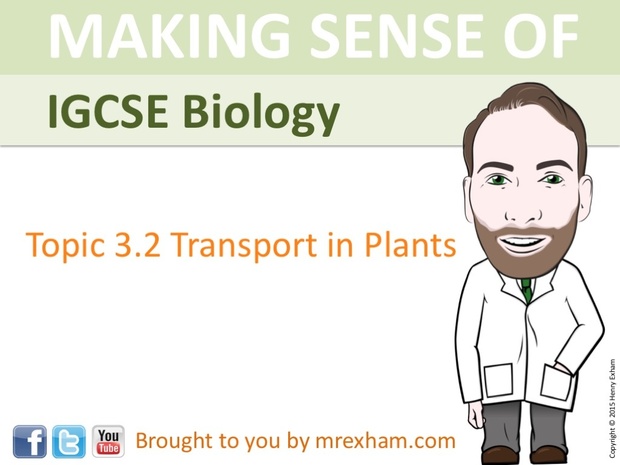 IGCSE Biology - Plant Transport Presentation