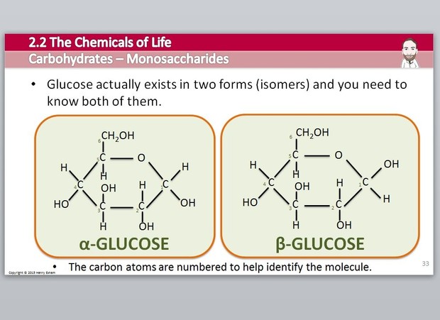 Cambridge Pre-U Biology - 2.2 Chemicals of Life Presentation