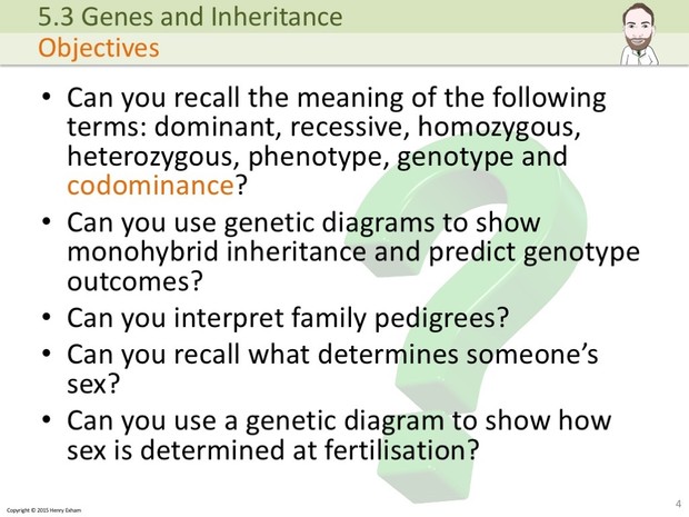 IGCSE Biology - Genes and Inheritance Presentation