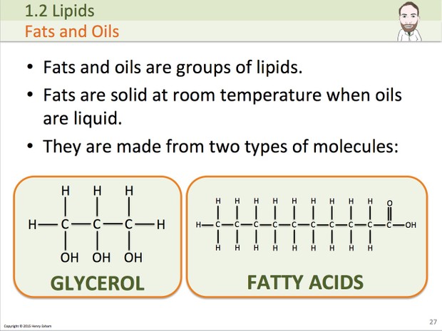 A Level Biology - Biological Molecules Presentation