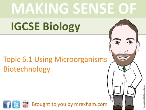 IGCSE Biology - Using Microorganisms Presentation