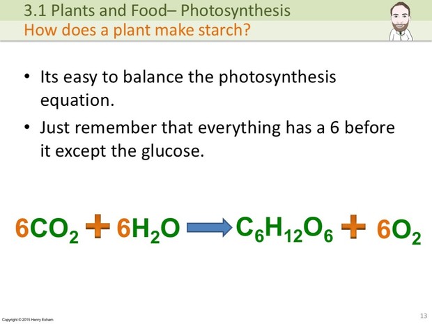 IGCSE Biology - Photosynthesis Presentation