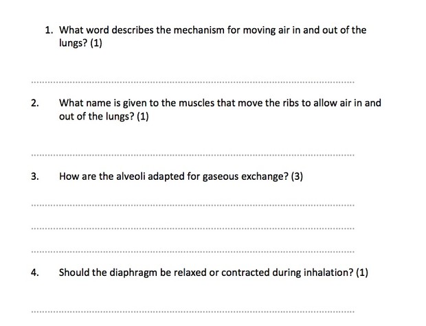 IGCSE Biology - Animal Physiology Revision Quiz