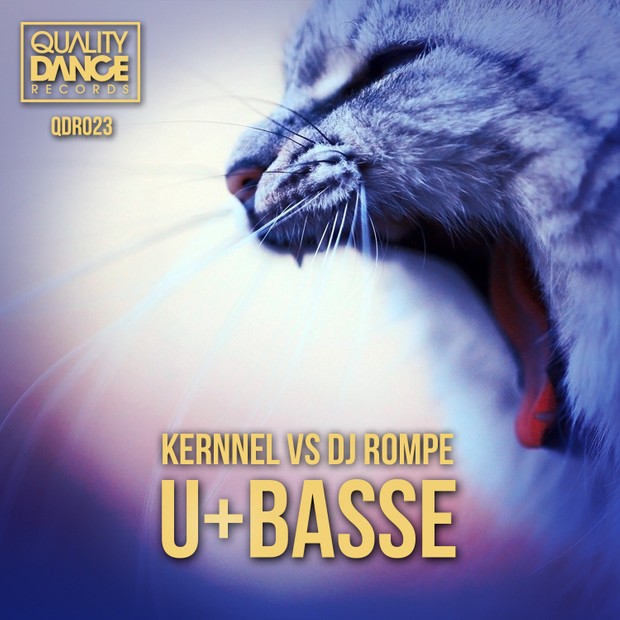 :: 2 TRACKS:: (QDR022) & (QDR023) U+Ur hand (Kernnel 2016 Remix) & U+Basse