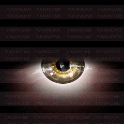 :: BIG EYE GENERATOR V.1 ::