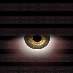 :: BIG EYE GENERATOR V.1 ::