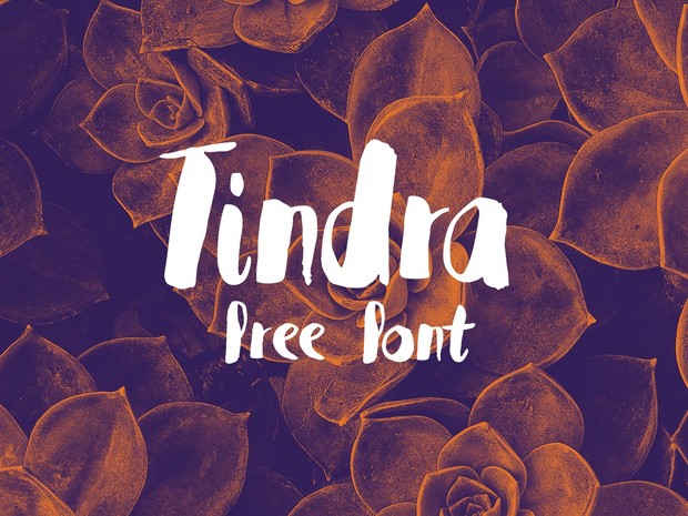 Tindra font