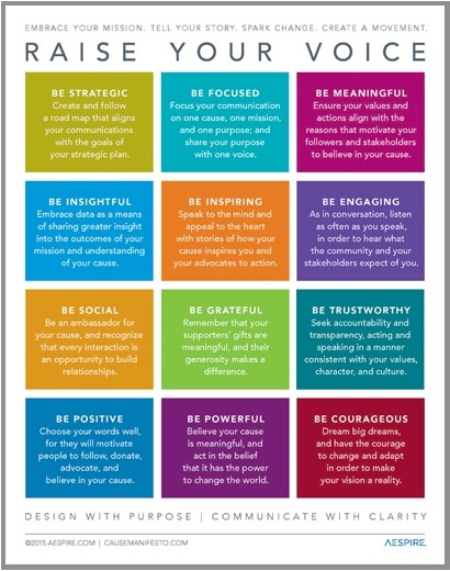Raise Your Voice: A Cause Manifesto, a Guide to Nonprofit Marketing and Communications