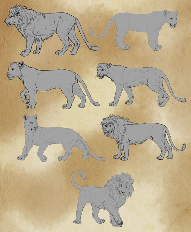 7 Lion Lineart Package