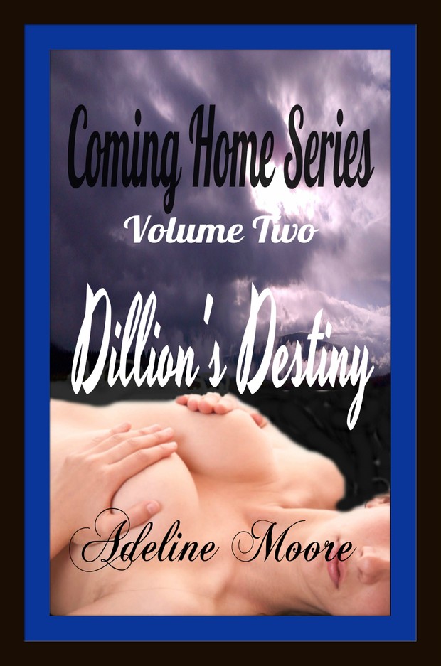 Coming Home Dillon's Destiny book 2