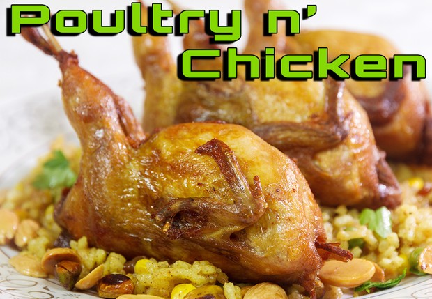 Poultry Chapter فصل الدجاج والطيور
