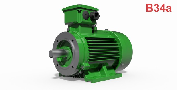 IEC Motors B34 - 42 Types.