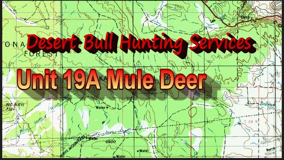Unit 19A Mule Deer Arizona DIY Hunts