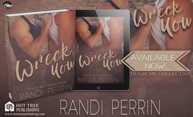Epub Wreck You - Randi Perrin