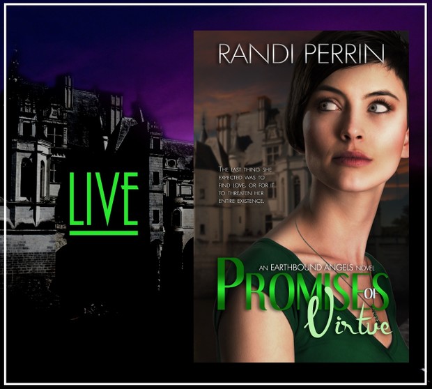 PDF Promises of Virtue by Randi Perrin