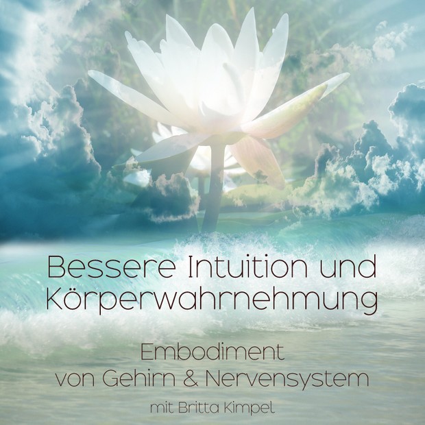 Embodiment-Praxis für eine bessere Intuition & Körperwahrnehmung